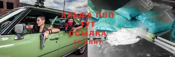 ПСИЛОЦИБИНОВЫЕ ГРИБЫ Киреевск