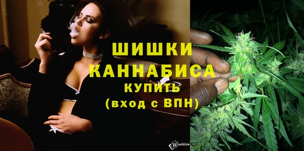 ПСИЛОЦИБИНОВЫЕ ГРИБЫ Киреевск