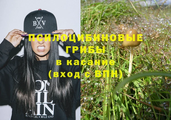 ПСИЛОЦИБИНОВЫЕ ГРИБЫ Киреевск