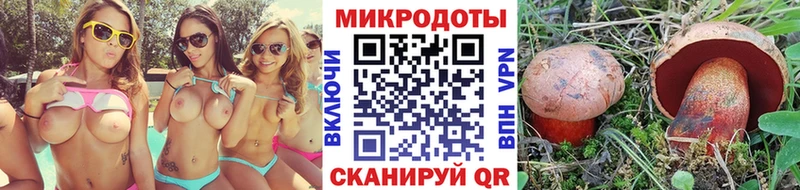 Купить  Ардатов  Псилоцибиновые грибы Magic Shrooms 